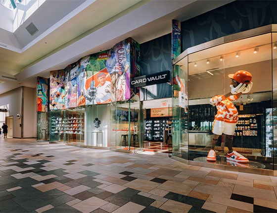 CardVault by Tom Brady